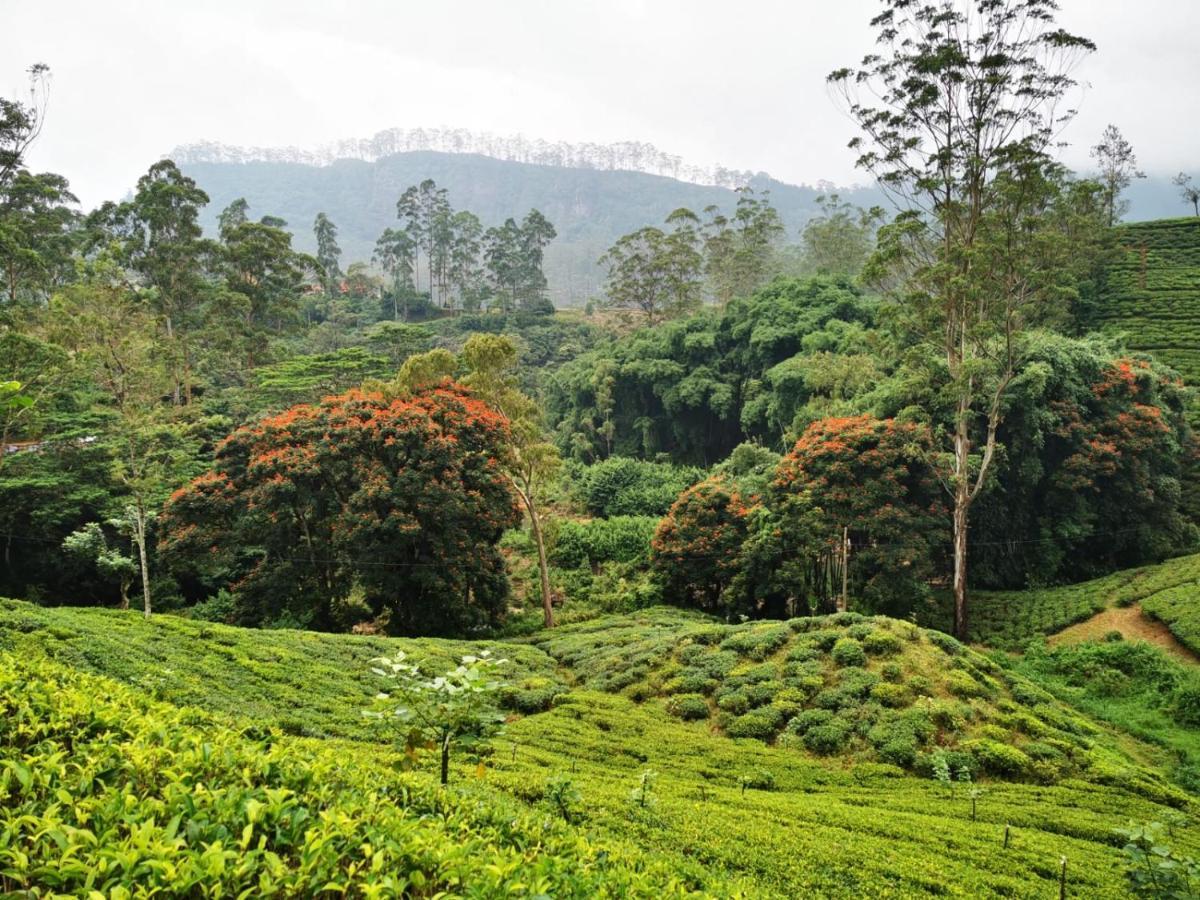 Butterfly Mountain Lake Side Maskeliya Exterior foto